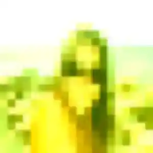 Maeva, 27 ans, en ligne à Merville pour un plan cul