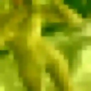 Anne-Marie, 28 ans, en ligne à Meung-sur-Loire pour un plan cul