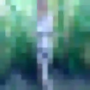 plan cul à Mèze : profil de Sabine, 34 ans - inscription gratuite