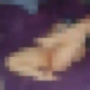 Découvre Iris, 36 ans à Migennes gratuitement