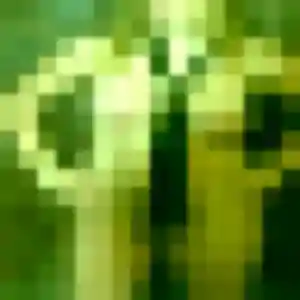 Fleur de Mignaloux-Beauvoir, 43 ans - plan cul sans lendemain