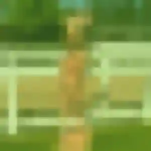 Photo perso de Pauline, 36 ans à Milhaud - rencontre sans lendemain