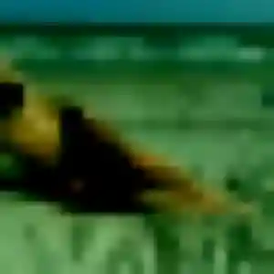 Rejoins Blanche, 32 ans à Moirans gratuitement