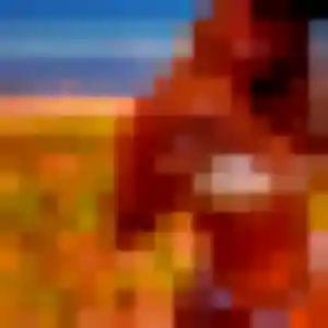 plan cul à Moissac : photo de Lucienne, 35 ans - accès libre