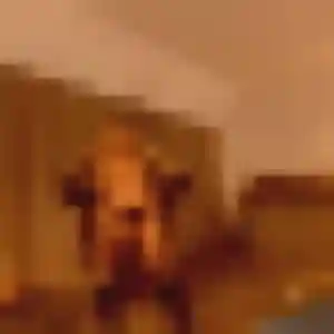 Contacte Typhaine, 28 ans à Moissy-Cramayel en t'inscrivant