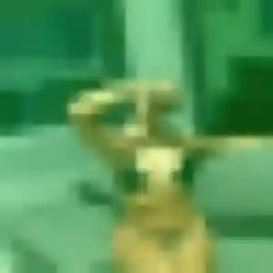 Profil de Alice à Mondeville (31 ans) - plan cul sans inscription