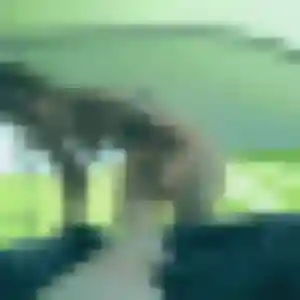 Yasmina (31 ans) à Mondeville attend un plan cul maintenant