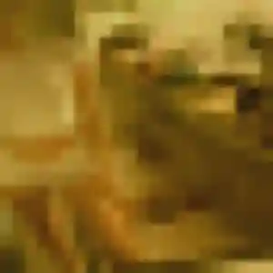 Isaure, fille de 43 ans propose plan cul à Mont-de-Marsan