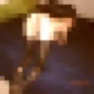 Bertrane, 21 ans, dispo pour plan cul à Montauban-de-Bretagne