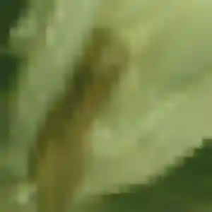 Frederique, fille de 28 ans cherche plan cul à Montbrison