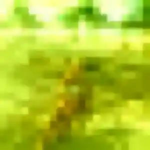 Patricia, 32 ans, cherche un plan cul à Montesson