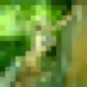 Samantha, fille de 40 ans propose plan cul à Montévrain