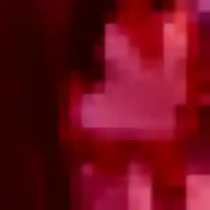 Découvre Justine, 26 ans à Montigny-le-Bretonneux en t'inscrivant