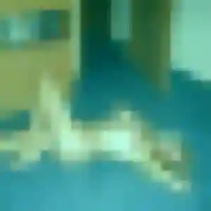 Découvre Lucie, 22 ans à Montigny-lès-Metz en privé