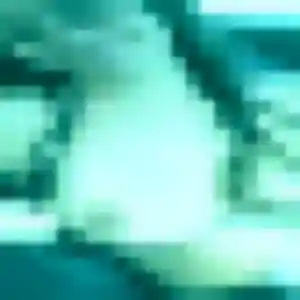 Profil de Malika à Montivilliers (29 ans) - plan cul gratuit