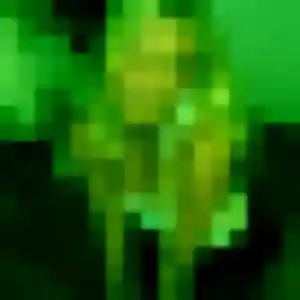 Photo exclusive de Isabella, 34 ans à Montlouis-sur-Loire - rencontre coquine