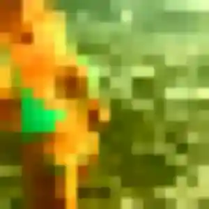 Belle Renee, 32 ans à Montmorency - la contacter