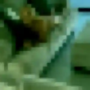 Bianca, 23 ans, veut un plan cul à Monts