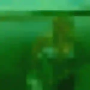 Ketty de Mormant, 41 ans - plan cul sans lendemain