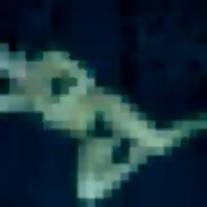 Phoebe, 45 ans, cherche un plan cul à Mormant