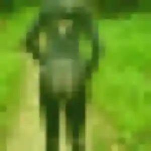 Rencontre Daniela, 23 ans à Mortagne-sur-Sèvre en privé