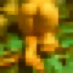 Profil de Oriane à Mouans-Sartoux (31 ans) - plan cul gratuit