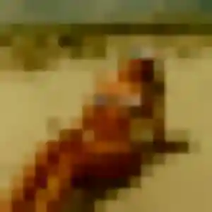 Viviane, 43 ans, dispo pour plan cul à Mougins