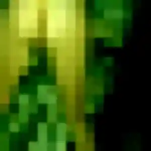 Germaine, fille de 38 ans veut plan cul à Mouguerre