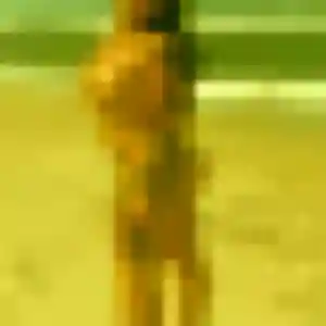 Sandrine (32 ans) à Moulins attend une rencontre maintenant