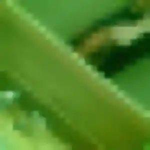 Charmante Stephanie, 23 ans à Mulsanne - voir sa photo