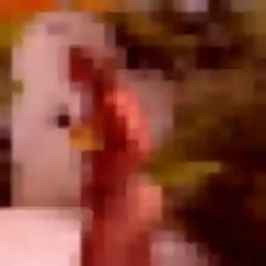 plan cul à Muret : profil de Yolande, 32 ans - inscription gratuite