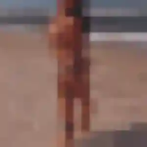 plan cul à Mûrs-Erigné : photo de Nelly, 38 ans - sans engagement