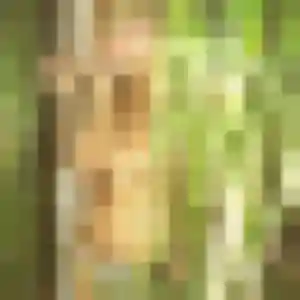 Hilary de Neufchâteau, 42 ans - plan cul en toute liberté