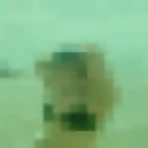 Photo sexy de Romina, 32 ans à Neufchâteau - rencontre sans lendemain