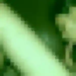 Camille, 31 ans, veut un plan cul à Nogent-le-Rotrou