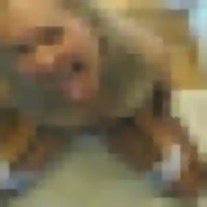 plan cul à Nogent-sur-Marne : photo de Quitterie, 24 ans - accès libre