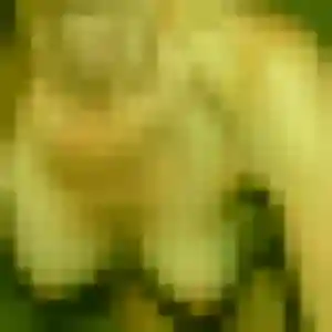 Zara, 30 ans, cherche un plan cul à Nogent-sur-Marne