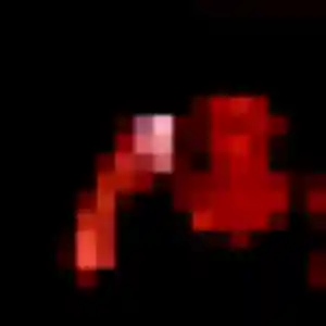 Laura, fille de 24 ans veut plan cul à Noisy-le-Grand