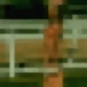 plan cul à Noisy-le-Roi : profil de Graziella, 37 ans - inscription gratuite