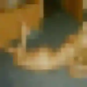 Sexy Adelaide, 39 ans à Noves - découvrir son profil