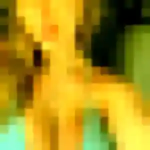 Profil de Mila à Noves (44 ans) - plan cul discret