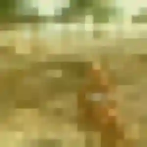 Lisa, 33 ans, veut un plan cul à Noyal-Châtillon-sur-Seiche