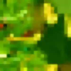 Florence, fille de 45 ans veut plan cul à Noyelles-Godault