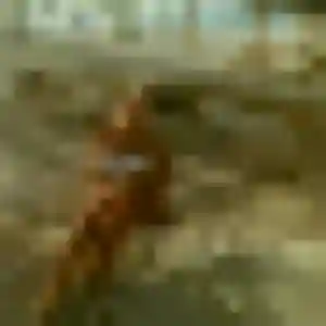 Photo privée de Clementine, 30 ans à Noyon - rencontre coquine