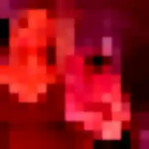 Sara, 37 ans, dispo pour plan cul à Nueil-les-Aubiers