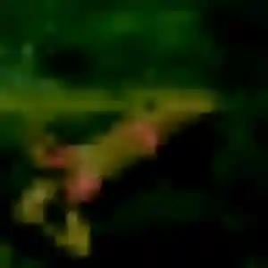 Jessica, 31 ans, disponible à Octeville-sur-Mer pour une rencontre coquine