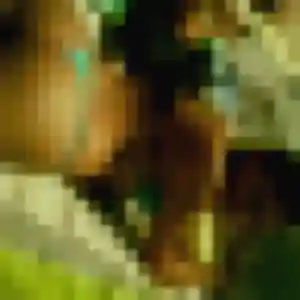 Agnes, femme de 33 ans propose plan cul à Oissel