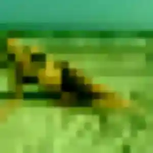 Photo exclusive de Delia, 28 ans à Ollainville - rencontre coquine