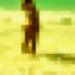 Jolie Justine, 41 ans à Ollainville - voir sa photo