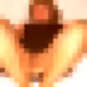 Victoire, 20 ans, connectée à Ollioules pour une rencontre coquine